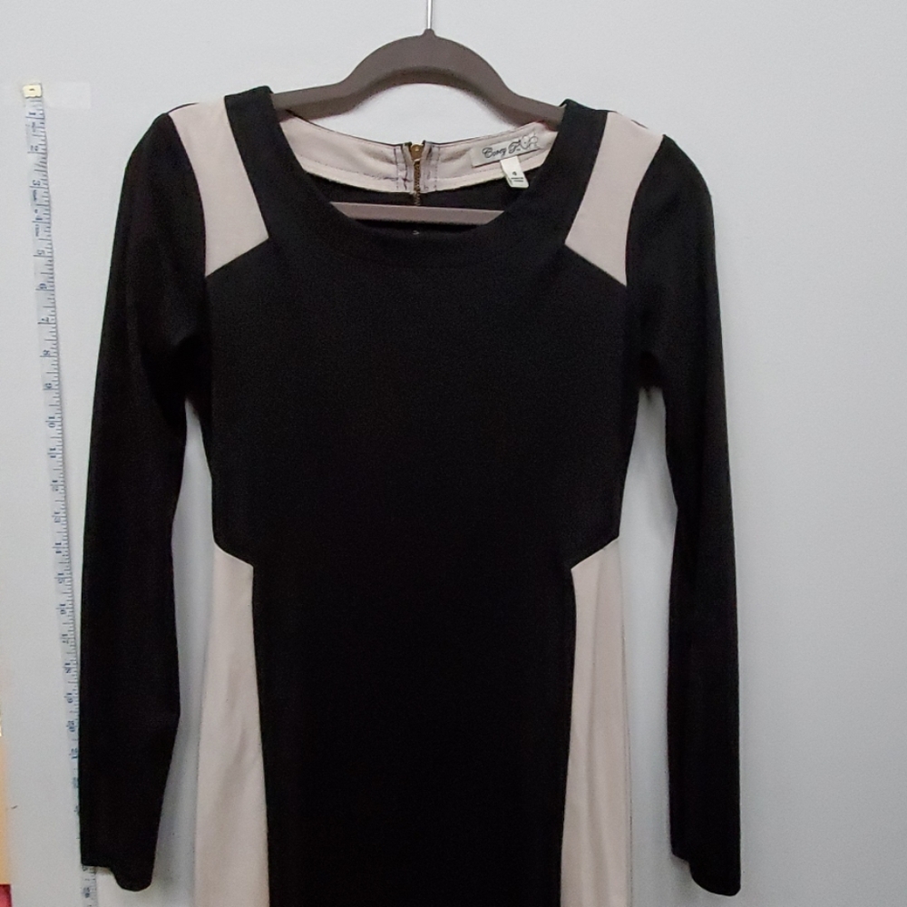 Bodycon black/ivory long sleeve dress